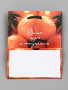 Пакет подарочный новогодний ламинированный, «Новогодние мандарины», 11.5?6.5?14.5 см (комплект 4 шт) - фото 54807584