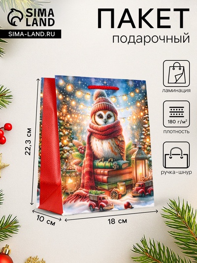 Пакет подарочный новогодний ламинированный, «Сова», 18×10×22.3 см
