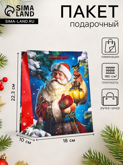 Пакет подарочный новогодний ламинированный, «Дед Мороз», 18×10×22.3 см