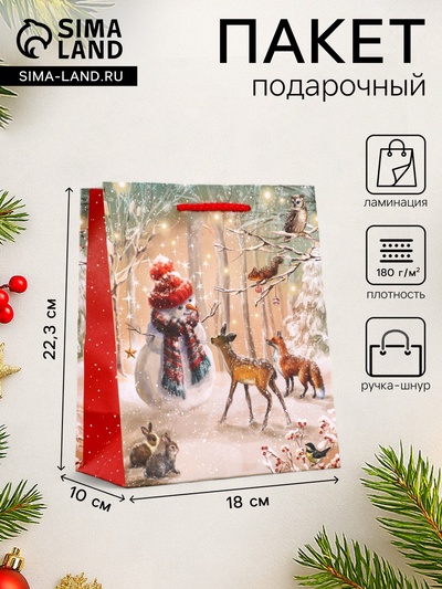 Пакет подарочный новогодний ламинированный, «Встреча друзей», 18×10×22.3 см