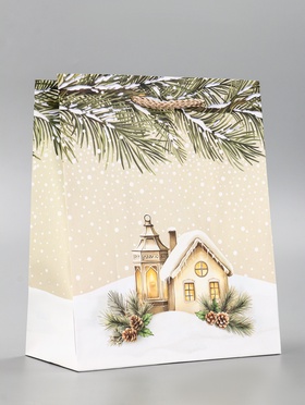 Пакет подарочный новогодний ламинированный, «Новогодний дом», 18?10?22.3 см (комплект 2 шт)