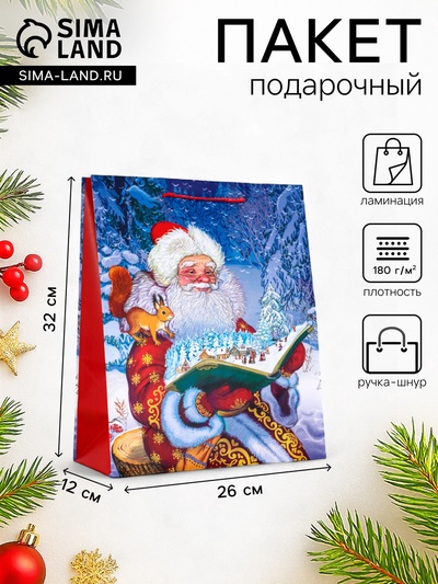 Пакет подарочный новогодний ламинированный, «Дед Мороз», 26×12×32 см