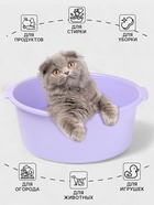 Таз хозяйственный круглый, 10 л, 37×35×14.5 см, фиалковый - фото 809198615