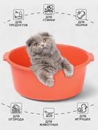 Таз хозяйственный круглый, 10 л, 37?35?14.5 см, кораллово-розовый (комплект 2 шт) - фото 54807647