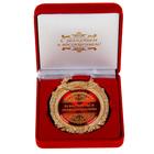 Медаль в бархатной коробке «За мастерство и профессионализм», d= 6,5 см. - фото 317862586