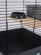 УЦЕНКА Клетка для шиншиллы «Пижон» №19, разборная, 58×40×49, серая 10929111