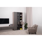 Шкаф – пенал «Роквуд 16.322.03», 385×372×2120 мм, цвет эмили блаш/графит мягкая шагрень 10928714 Шкаф – пенал «Роквуд 16.322.03», 385×372×2120 мм, цвет эмили блаш/графит мягкая шагрень 10928714