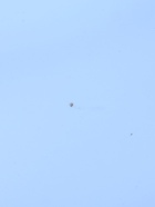 УЦЕНКА Форма для выпечки «Квадрат», 20.5×20.5×5 см, цвет светло-голубой - Фото 6