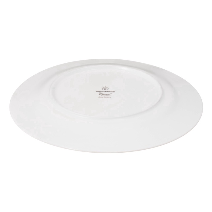 УЦЕНКА Набор тарелок WY "Eternal" 2 шт d= 25.5 см - фото 117477441