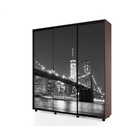 Шкаф-купе BRIGHT 237х60х230 222 Венге темный-Белый шёлк - фото 14902384