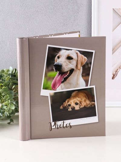 Фотоальбом магнитный на 10 листов «Друзья верные», 23×28 см, переплёт: спираль