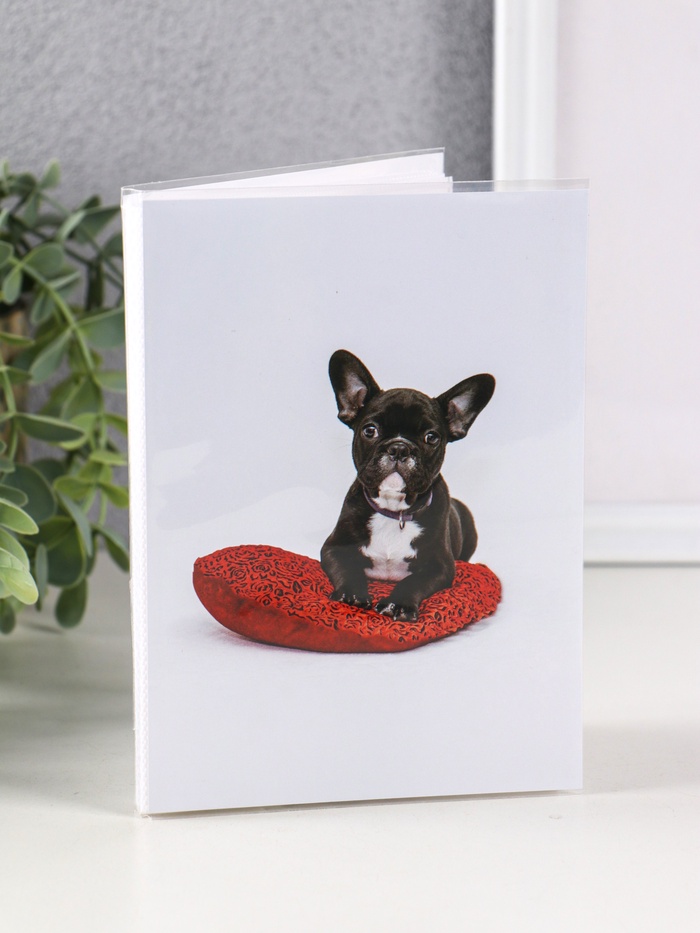 Фотоальбом на 36 фото 10×15 см «Собачка на подушке», мягкая обложка - Фото 1