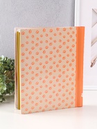 Фотоальбом магнитный на 10 листов «Котята», 23×28 см, переплёт: спираль - фото 54808041 Фотоальбом магнитный на 10 листов «Котята», 23×28 см, переплёт: спираль - фото 54808041