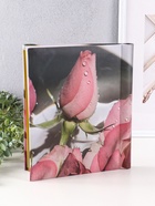 Фотоальбом магнитный на 10 листов «Роза», 23×28 см, переплёт: спираль - фото 54808073 Фотоальбом магнитный на 10 листов «Роза», 23×28 см, переплёт: спираль - фото 54808073