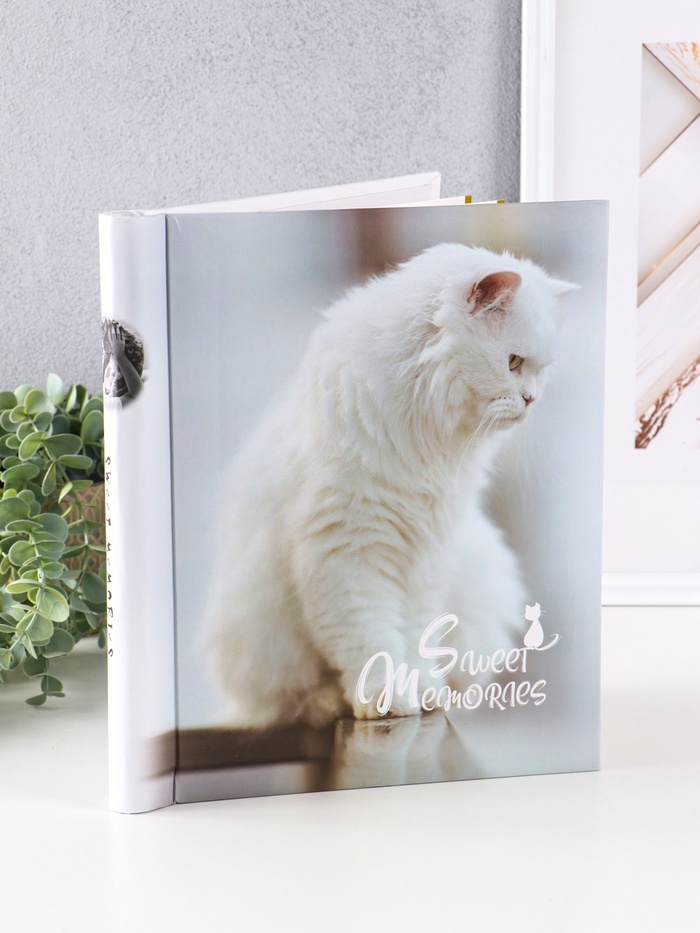 Фотоальбом магнитный на 10 листов «Белый котенок», 23×28 см, переплёт: спираль - Фото 1