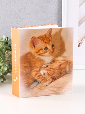 Фотоальбом на 200 фото 10×15 см «Рыжий котёнок»