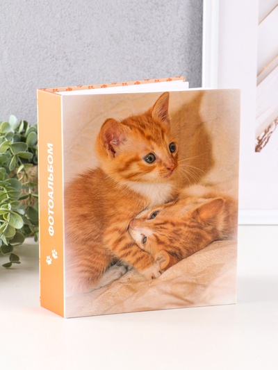 Фотоальбом на 200 фото 10×15 см «Рыжий котёнок»