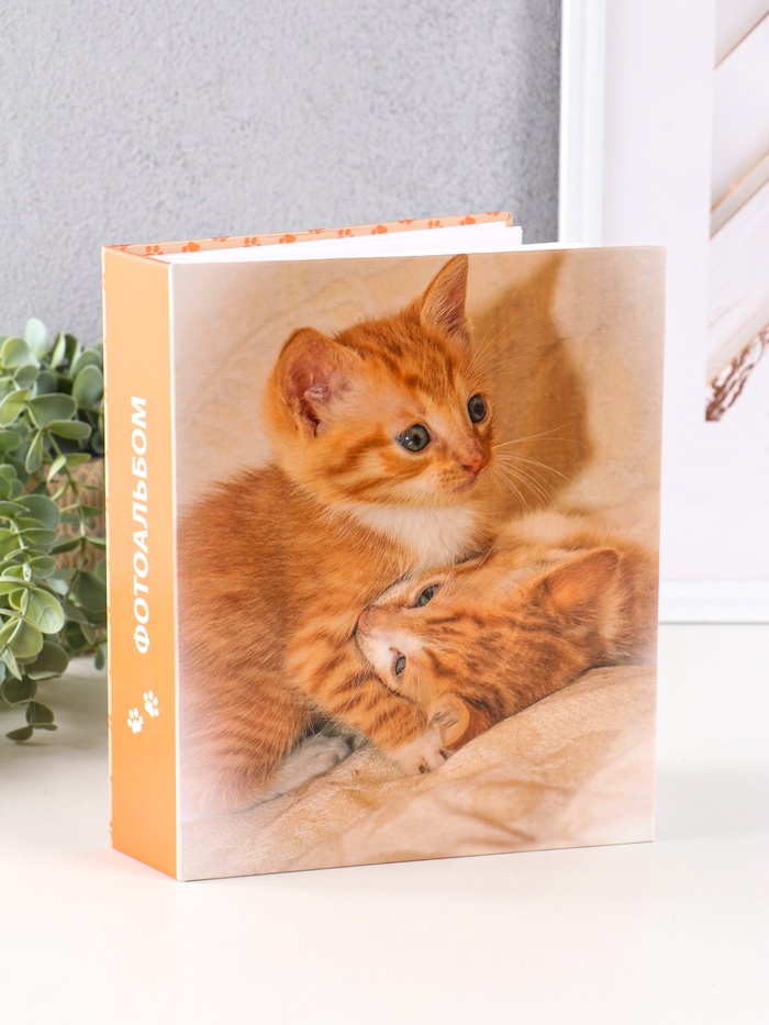 Фотоальбом на 200 фото 10×15 см «Рыжий котёнок»