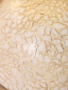 УЦЕНКА Миска 17×17×8 см, бамбук 10929709