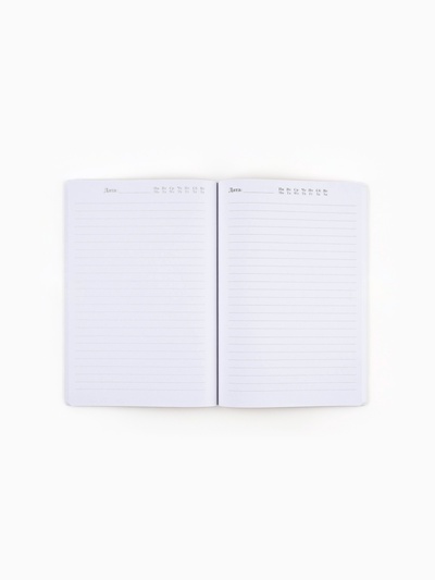 Ежедневник софт-тач, 80 листов, недатированный, в мягкой обложке, 24×16.5 см «Уютного нового года»