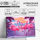 УЦЕНКА Алмазная вышивка с частичным заполнением «Розовые фламинго» 40×50 см, на раме - Фото 1