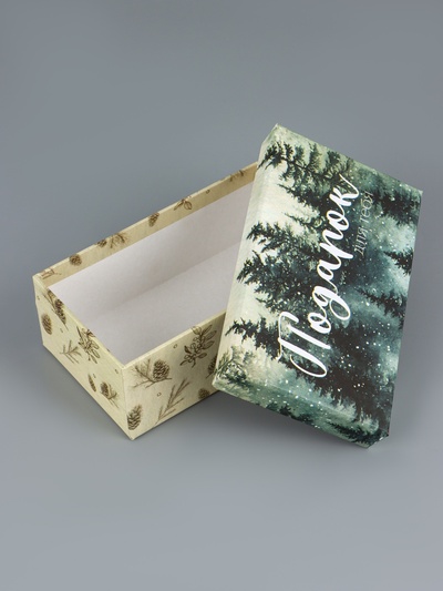 Набор подарочных новогодних коробок 10 в 1 «Новогодняя почта», 30×19×11.5 - 12×6.5×4 см