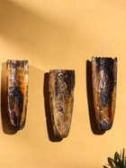 Маска «Абориген и черепаха», 30×10×4 см, дерево, МИКС - фото 809242094