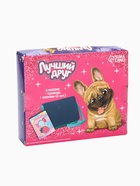 УЦЕНКА Подарочный набор - сумка с заколками «Лучший друг» - Фото 7