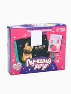 УЦЕНКА Подарочный набор - сумка с заколками «Лучший друг» - Фото 8