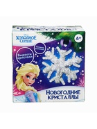 УЦЕНКА ХОЛОДНОЕ СЕРДЦЕ Набор для опытов «Новогодние кристаллы», Эльза - Фото 8