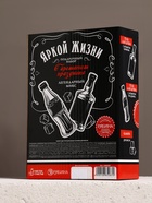 Подарочный набор «Яркой жизни», гель для душа виски и кола, 2×250 мл, камни для виски, Чистое счастье - фото 809283136