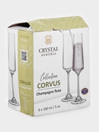 УЦЕНКА Набор бокалов для шампанского 160 мл Corvus, 6 шт. - Фото 7