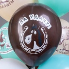 Воздушные шары латексные 12" «Лошадки!», 25 шт., МИКС - Фото 5