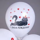 Воздушные шары латексные 12" «С ДР! Хоп Хэй Ла-Ла Лей!», 25 шт., МИКС - Фото 2