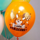 Воздушные шары латексные 12" «С ДР! Веселые животные», 25 шт., МИКС 10925722 - фото 17035804