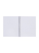 Компл тетр из 3шт 96л кл на гребне Гусь, обл мел карт, офсет (10296898) - фото 53888990