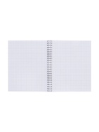 Компл тетр из 3шт 96л кл на гребне Кот, обл мел карт, ТВИН+выб УФ-лак, офсет, (10246941) - фото 53889011