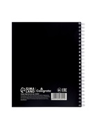 Компл тетр из 3шт 96л кл на гребне Кот, обл мел карт, ТВИН+выб УФ-лак, офсет, (10246941) - фото 53889012