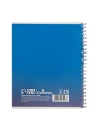 Компл тетр из 3шт 96л кл на гребне Эстетика, обл мел карт, глянц лам, офсет (10246943) - фото 53889061