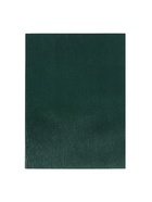 Компл тетр из 2шт А4 96л кл VIGO бумвинил VA0505 (Soft touch) зеленый, офсет (10267972) - фото 809185993