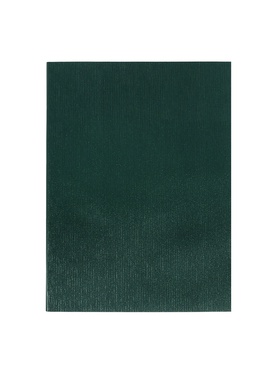 Набор тетрадей Calligrata. VIGO, А4, 2 штуки, 96 листов, обложка из бумвинила, зелёные