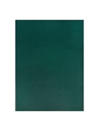 Набор тетрадей Calligrata. VIGO, А4, 2 штуки, 96 листов, обложка из бумвинила, зелёные - фото 119339486