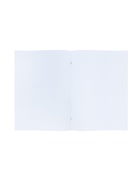 Набор тетрадей Calligrata. VIGO, А4, 2 штуки, 96 листов, обложка из бумвинила, зелёные - фото 119339487