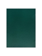 Набор тетрадей Calligrata. VIGO, А4, 2 штуки, 96 листов, обложка из бумвинила, зелёные - фото 119339488