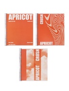 Компл тетр из 3шт 96л кл на гребне Apricot, обл мел карт, блок офсет 10296913 - фото 117423325