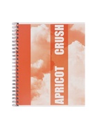 Компл тетр из 3шт 96л кл на гребне Apricot, обл мел карт, блок офсет 10296913 - фото 53889076