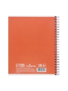 Компл тетр из 3шт 96л кл на гребне Apricot, обл мел карт, блок офсет 10296913 - фото 53889079