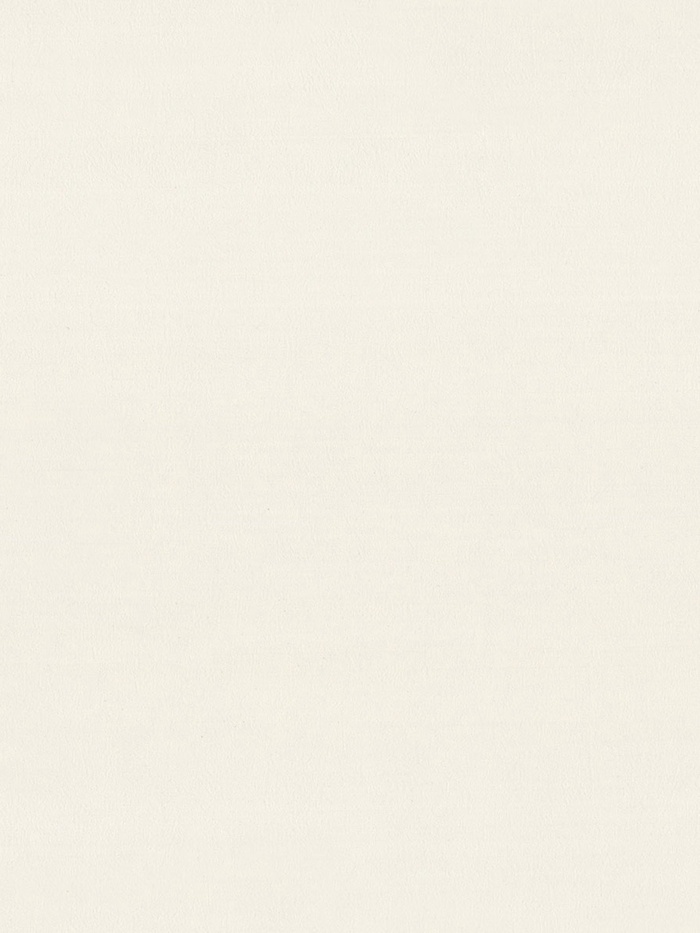 Обои виниловые EURO DECOR 7315 – 01, на флизелиновой основе, 1.06×10 м, цвет бежевый - Фото 1