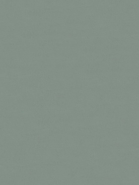 Обои винил на флизелиновой основе EURO DECOR 7315-09 1,06*10м