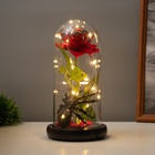 УЦЕНКА Фигурка светящаяся колба RISALUX «Паук с розой», LED-ночник, 1.5 Вт, 3×AAA, чёрный, USB, 11×11×21 см - Фото 2
